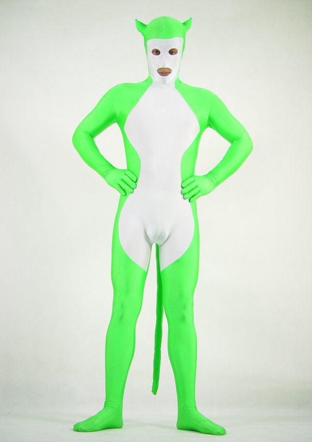 Green Cat Halloween Costume Ideas Zentai